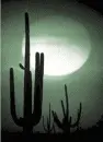 desert