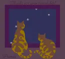 Thanks, friendship, friends, cats, window