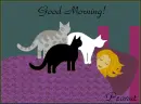 Good morning, bed, cats, wakeup, peanut