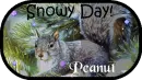 Snowy Day