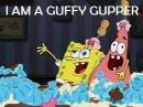 sponge bob