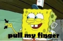 sponge bob