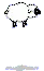 â¤ SHEEP â¤