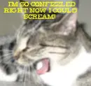 Confused