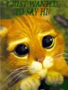 i just wanted to say hello