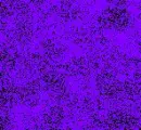 Purple n Black