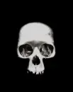 â˜ SKULLâ˜ 