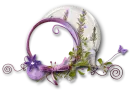purple_cluster