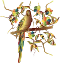 clipart_vector