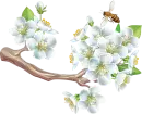 clipart_vector