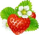 clipart_vector