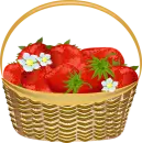 clipart_vector
