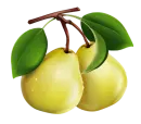 clipart_vector
