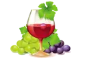 clipart_vector