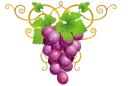 clipart_vector
