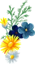 clipart_vector