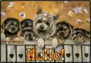 Hello!