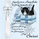 Chrissi