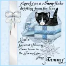 Tammy