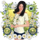 Daisy-Spring Daisies