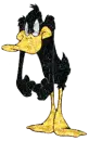 Daffy Duck