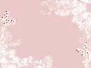 Pink Butterfly - background