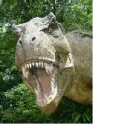 T-Rex Eating