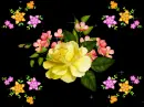 Sping - background