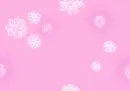 Pink flower - background