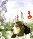 Basset Hound - background - fg