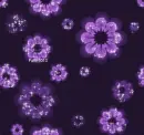 Black with purple flowers - background