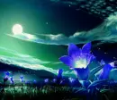 animated flowers