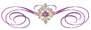 Purple Divider