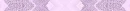 Purple Divider