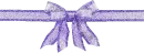 Purple Divider