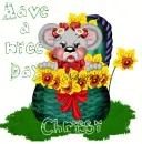 chrissi