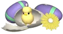 Chick n Eggs