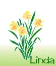 March Birth Flower (Daffodil) for Linda