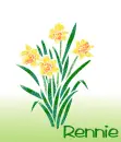 March Birth Flower (Daffodil) for Rennie