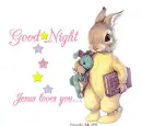 Good Night - Jesus Loves You - Stars