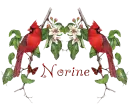 Norine