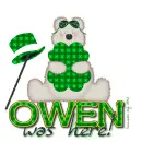 Owen - Was Here - Shamrock - Bear