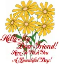 Beautiful Day~hello friend