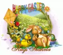 Shakela