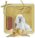 Pretty Poodle- Elia