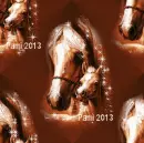 Horse - Background