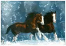 Horse - Background