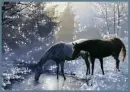 Horse - Background