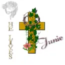 Junie - He Lives - Cross