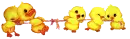 Chick strong game
